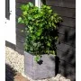 Capi Maceta cuadrada Nature Rib gris antracita 50x50 cm de , Maceteros y jardineras - Ref: Foro24-429057, Precio: 157,64 €, D...