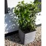 Capi Maceta cuadrada Nature Rib gris antracita 50x50 cm de , Maceteros y jardineras - Ref: Foro24-429057, Precio: 157,64 €, D...