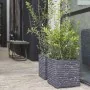 Capi Macetero Nature Row cuadrado gris antracita 30x30 cm KRWZ902 by , Pots and planters - Ref: Foro24-424259, Price: 54,87 €...