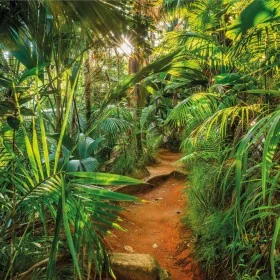 Komar Mural fotográfico Jungle Trail 368x254 cm by , Painted paper - Ref: Foro24-425268, Price: 79,96 €, Discount: %