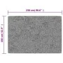 Alfombra lavable antideslizante beige 160x230 cm by , Rugs - Ref: Foro24-337943, Price: 67,48 €, Discount: %