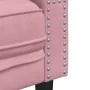 Sofá Chesterfield 2 plazas con cojines terciopelo rosa by , Sofas - Ref: Foro24-372686, Price: 297,16 €, Discount: %