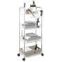 Carro de almacenamiento 4 niveles transparente 37x28x95 cm de , Carretillas de carga - Ref: Foro24-4012380, Precio: 37,61 €, ...