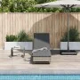Tumbona con ruedas y cojín ratán sintético gris von , Liegen - Ref: Foro24-4104035, Preis: 159,65 €, Rabatt: %