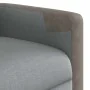 Sillón reclinable elevable de tela gris claro by , Armchairs - Ref: Foro24-3324090, Price: 275,40 €, Discount: %