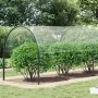 Lona transparente con ojales PVC 4x12 m by , Waterproof tarpaulins - Ref: Foro24-4018611, Price: 196,06 €, Discount: %