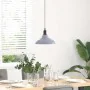 Lámpara colgante regulable en altura E27 gris brillante Ø 31cm von , Lampen - Ref: Foro24-4103438, Preis: 31,82 €, Rabatt: %