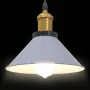 Lámpara colgante regulable en altura E27 gris brillante Ø 22cm by , Lamps - Ref: Foro24-4103446, Price: 29,10 €, Discount: %
