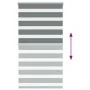 Estor cebra gris oscuro 70x100cm tejido ancho 65,9 cm poliéster by , Blinds and blinds - Ref: Foro24-4014099, Price: 25,30 €,...