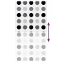 Estor enrollable para ducha tela 120x240 cm ancho 116 cm by , Blinds and blinds - Ref: Foro24-4014838, Price: 23,97 €, Discou...