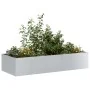 Jardinera 200x80x40 cm de acero galvanizado de , Maceteros y jardineras - Ref: Foro24-860757, Precio: 98,91 €, Descuento: %
