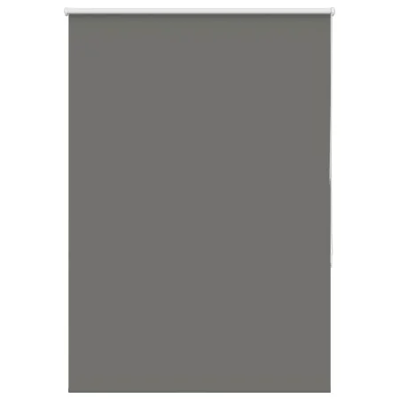 Estor Enrollable Opaco gris 110x175 cm Tela Ancho 105,7 cm by , Blinds and blinds - Ref: Foro24-4011156, Price: 24,95 €, Disc...