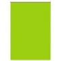 Estor Enrollable Opaco hojas verde 105x130cm Tela Ancho 100,7cm de , Persianas y estores - Ref: Foro24-4011233, Precio: 19,95...