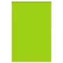 Estor Enrollable Opaco hojas verde 150x210cm Tela Ancho 146,6cm by , Blinds and blinds - Ref: Foro24-4011320, Price: 30,15 €,...