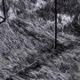 Alfombra de pelo largo NAVARRA gris oscuro 240x340 cm poliéster de , Alfombras - Ref: Foro24-4102856, Precio: 90,64 €, Descue...