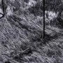 Alfombra de pelo largo NAVARRA gris oscuro 200x200 cm poliéster by , Rugs - Ref: Foro24-4102880, Price: 55,85 €, Discount: %