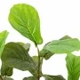 Árbol ficus artificial 48 hojas verde 165 cm by , artificial flora - Ref: Foro24-4103581, Price: 53,47 €, Discount: %