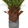 Palmera artificial con 12 hojas verde 150 cm by , artificial flora - Ref: Foro24-4103576, Price: 70,91 €, Discount: %