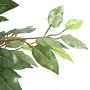 Árbol ficus artificial con 756 hojas verde 170 cm by , artificial flora - Ref: Foro24-4103574, Price: 51,21 €, Discount: %
