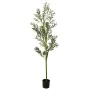 Árbol de olivo artificial con 800 hojas verde 200 cm by , artificial flora - Ref: Foro24-4103569, Price: 102,90 €, Discount: %