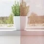 Cortinas de gasa con ojales 2 uds rosa 140x175 cm by , Curtains and curtains - Ref: Foro24-4102096, Price: 13,89 €, Discount: %