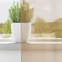 Cortinas de gasa con ojales 2 uds arena von , Vorhänge und Gardinen - Ref: Foro24-4102124, Preis: 15,92 €, Rabatt: %