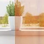 Cortinas de gasa con trabillas 2 uds naranja 140x225 cm von , Vorhänge und Gardinen - Ref: Foro24-4102283, Preis: 15,57 €, Ra...