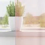 Cortinas de gasa con trabillas 2 uds rosa claro 140x140 cm by , Curtains and curtains - Ref: Foro24-4102276, Price: 14,11 €, ...