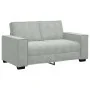 Sofá de 2 plazas de terciopelo gris claro 120 cm de , Sofás - Ref: Foro24-4105010, Precio: 209,69 €, Descuento: %