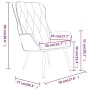 Silla de relajación de terciopelo gris claro de , Sillones - Ref: Foro24-341229, Precio: 107,27 €, Descuento: %