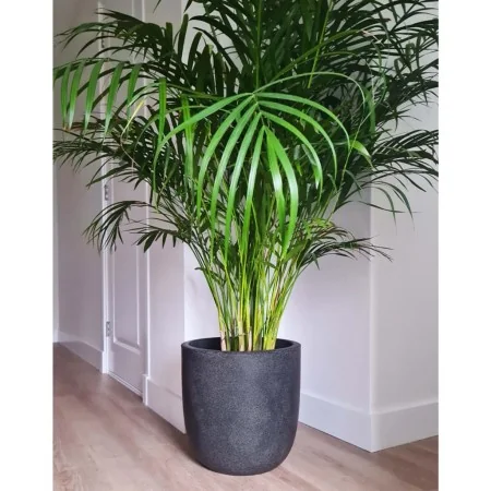 Capi Macetero Waste Smooth gris 43x41 cm by , Pots and planters - Ref: Foro24-442104, Price: 75,77 €, Discount: %