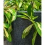 Capi Macetero Waste Smooth gris 43x41 cm by , Pots and planters - Ref: Foro24-442104, Price: 75,77 €, Discount: %