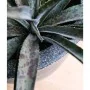 Capi Macetero Waste Smooth gris 43x41 cm by , Pots and planters - Ref: Foro24-442104, Price: 75,77 €, Discount: %