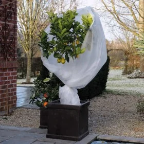 Nature Velo de hibernación polar antiheladas blanco 30 g/m² 2x5 m von , Gartenzubehör - Ref: Foro24-434642, Preis: 14,39 €, R...