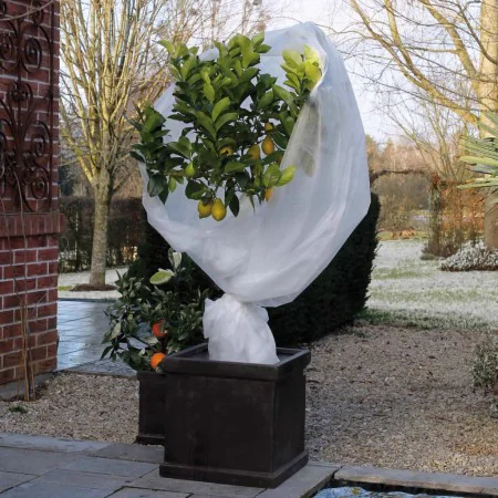 Nature Velo de hibernación polar antiheladas blanco 30 g/m² 2x5 m von , Gartenzubehör - Ref: Foro24-434642, Preis: 14,39 €, R...