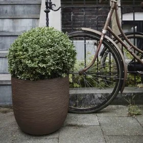 Capi Macetero Nature Rib marrón oscuro 54x52 cm by , Pots and planters - Ref: Foro24-434841, Price: 196,64 €, Discount: %