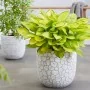 Capi Macetero ovalado Clay gris marfil 43x41 cm by , Pots and planters - Ref: Foro24-429064, Price: 77,00 €, Discount: %
