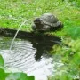 Ubbink Fuente de jardín con chorro y en forma de tortuga von , Brunnen und Wasserfälle - Ref: Foro24-442055, Preis: 46,48 €, ...