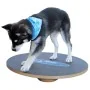 FitPAWS Tabla de equilibrio negro 50 cm by , Pet Exercise Equipment - Ref: Foro24-433830, Price: 94,34 €, Discount: %