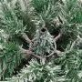 Árbol de Navidad artificial con bisagras y nieve flocada 120 cm by , Christmas trees - Ref: Foro24-358379, Price: 43,83 €, Di...