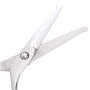 Set de tijeras de peluquería canina 6 piezas acero inoxidable von , Haarschneidemaschinen für Haustiere - Ref: Foro24-4101329...