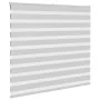 Light gray zebra curtain 155x100cm, fabric width 150.9cm, made of polyester. by , Blinds and blinds - Ref: Foro24-4014428, Pr...