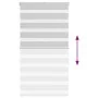 Light gray zebra curtain 85x100cm, fabric width 80.9cm, made of polyester. by , Blinds and blinds - Ref: Foro24-4014414, Pric...
