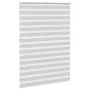 Light gray zebra curtain 160x230cm, fabric width 155.9cm, made of polyester. by , Blinds and blinds - Ref: Foro24-4014507, Pr...