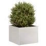 Pflanzgefäß 40x40x30 cm aus Edelstahl von , Töpfe und Pflanzgefäße - Ref: Foro24-860798, Preis: 53,46 €, Rabatt: %