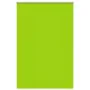 Estor Enrollable Opaco hojas verde 155x230cm Tela Ancho 151,6cm by , Blinds and blinds - Ref: Foro24-4011347, Price: 33,01 €,...