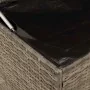 Cojines para exterior gris 100x55x55,5 cm ratán sintético de , Cajas de almacenaje para exteriores - Ref: Foro24-4104143, Pre...