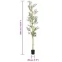Künstlicher Olivenbaum mit 1000 grünen Blättern, 300 cm. von , Künstliche Flora - Ref: Foro24-4103570, Preis: 111,61 €, Rabat...