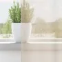 Cortinas de gasa con ojales 2 uds crema 140x225 cm de , Cortinas y visillos - Ref: Foro24-4102073, Precio: 14,79 €, Descuento: %
