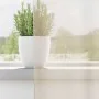 Gauze curtains with eyelets 2 units cream 140x140 cm by , Curtains and curtains - Ref: Foro24-4102071, Price: 13,30 €, Discou...